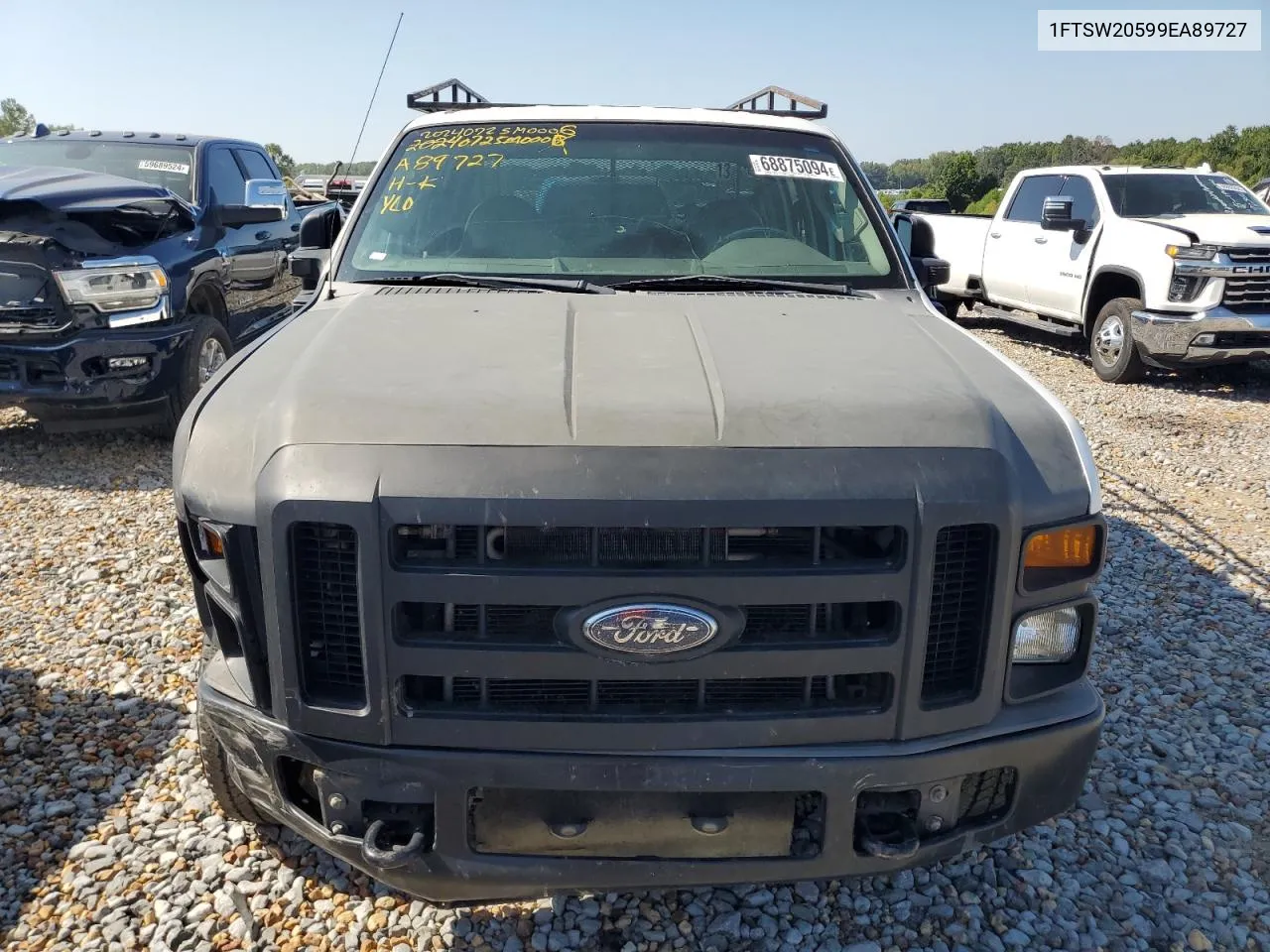 2009 Ford F250 Super Duty VIN: 1FTSW20599EA89727 Lot: 68875094