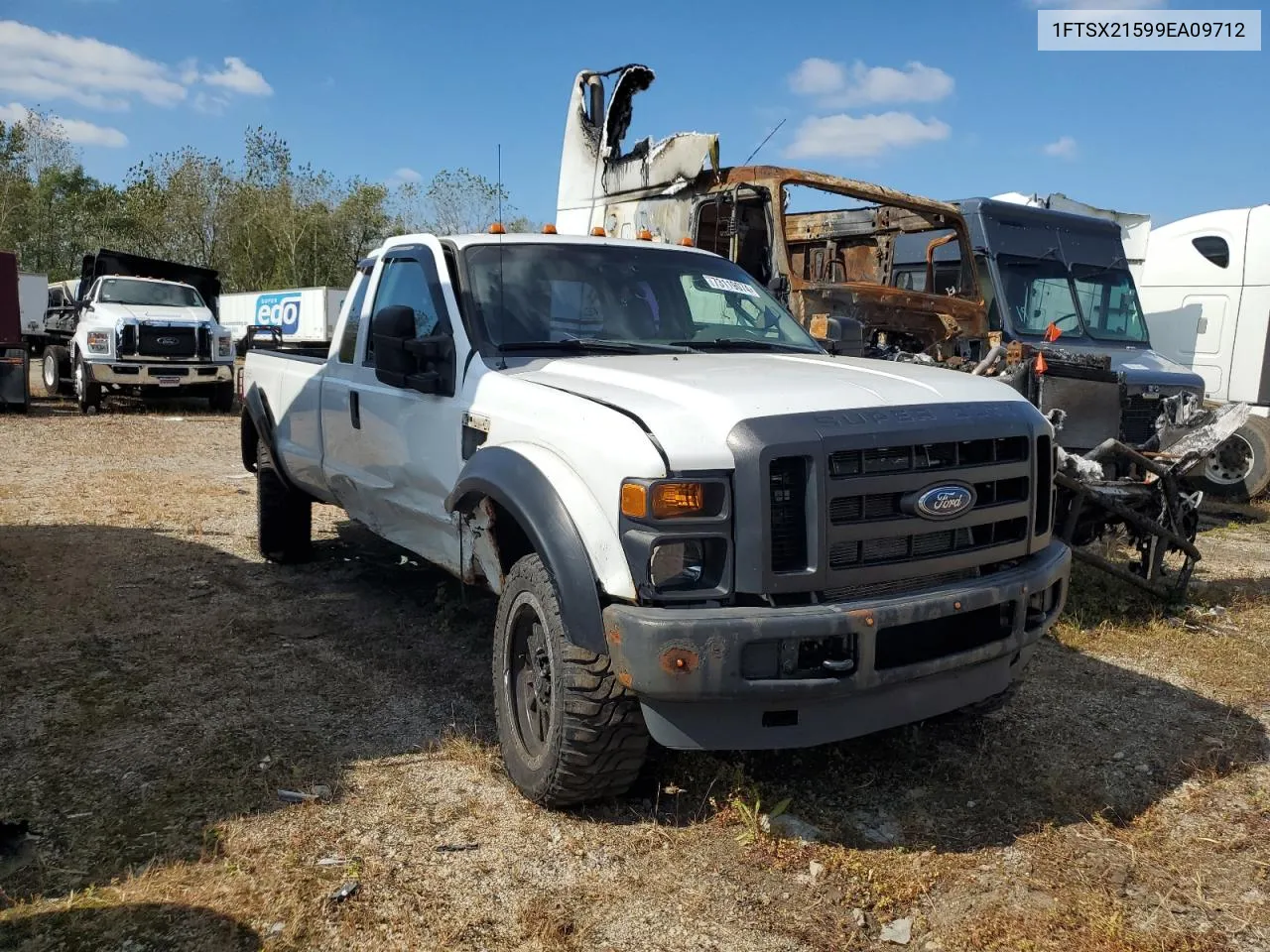 1FTSX21599EA09712 2009 Ford F250 Super Duty