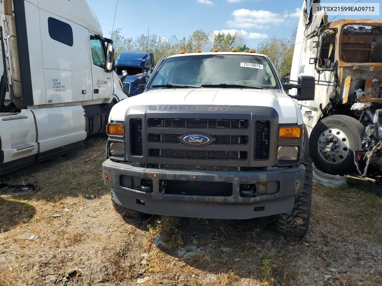 1FTSX21599EA09712 2009 Ford F250 Super Duty