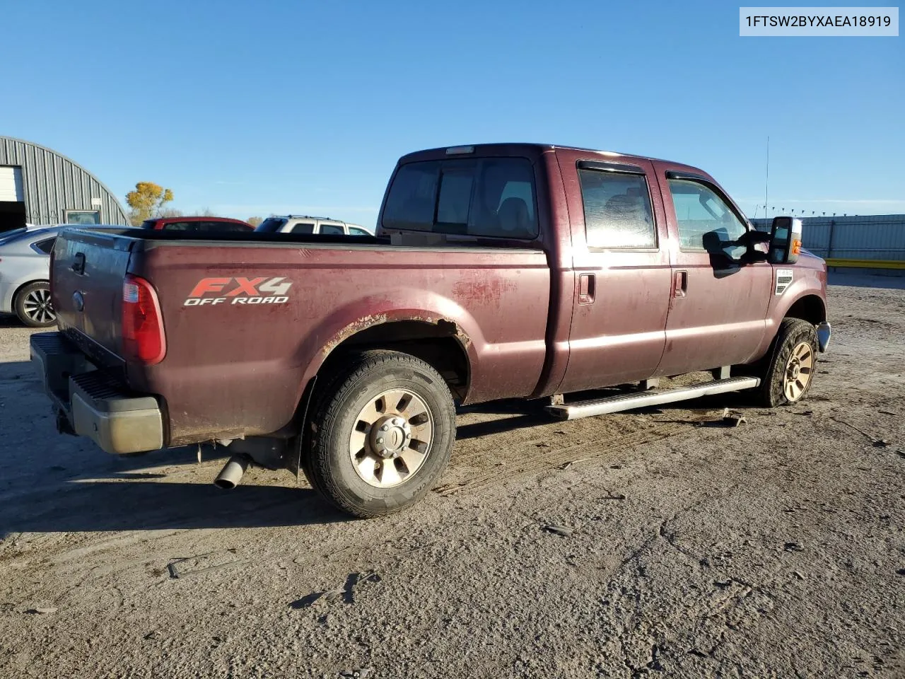 2010 Ford F250 Super Duty VIN: 1FTSW2BYXAEA18919 Lot: 79466594