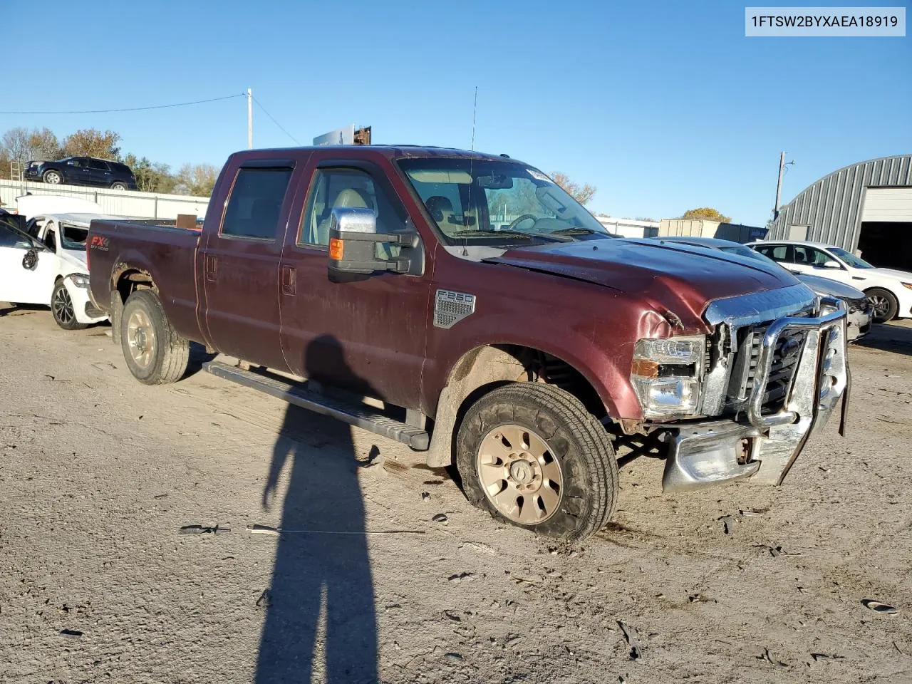 2010 Ford F250 Super Duty VIN: 1FTSW2BYXAEA18919 Lot: 79466594