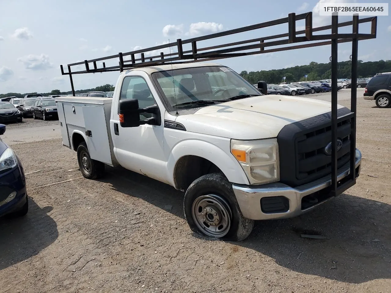 2014 Ford F250 Super Duty VIN: 1FTBF2B65EEA60645 Lot: 69338334