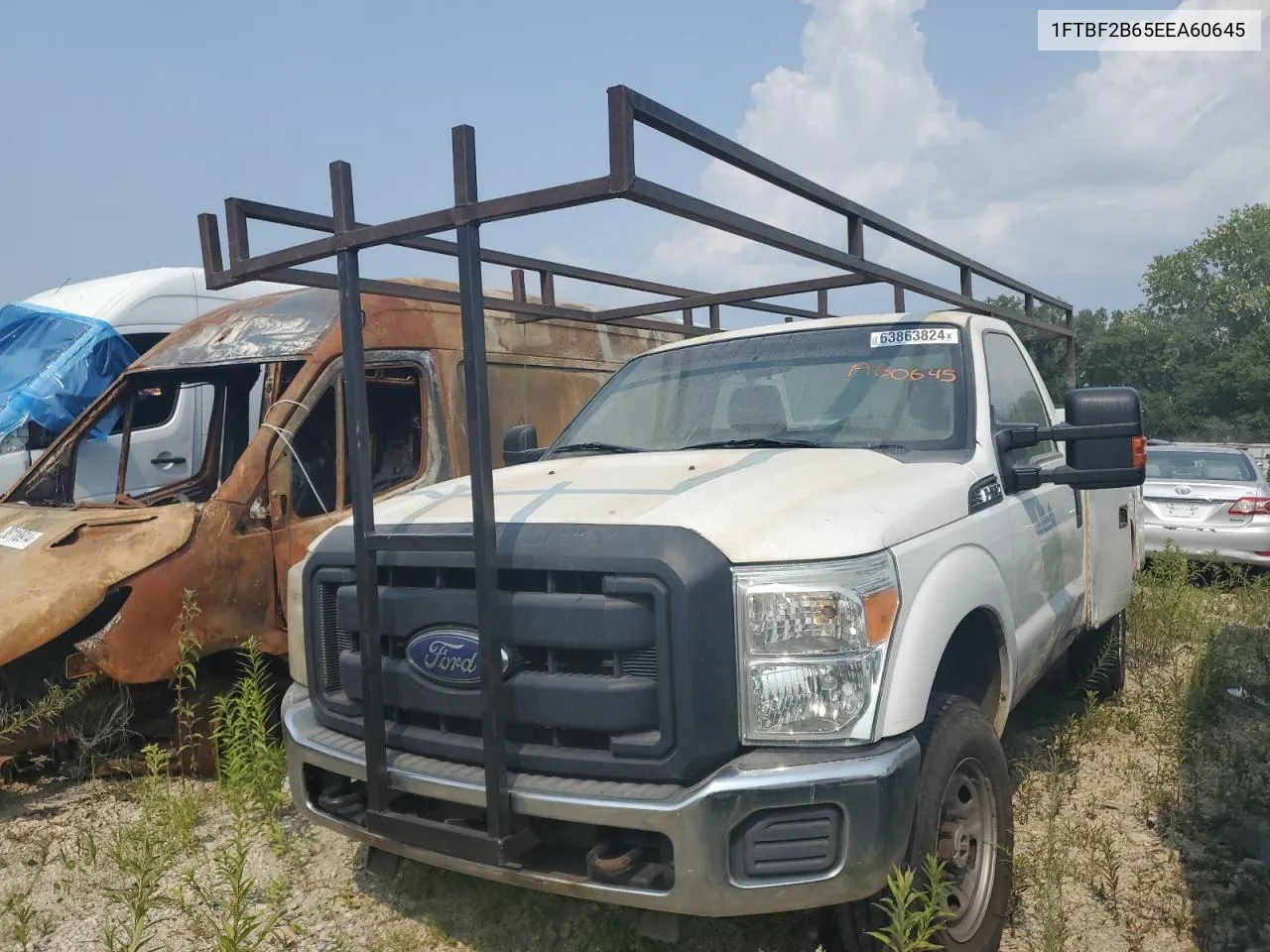 2014 Ford F250 Super Duty VIN: 1FTBF2B65EEA60645 Lot: 69338334