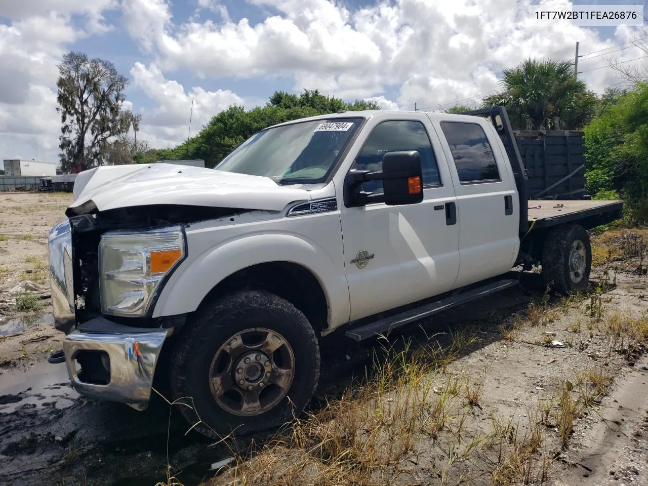 2015 Ford F250 Super Duty VIN: 1FT7W2BT1FEA26876 Lot: 69047904