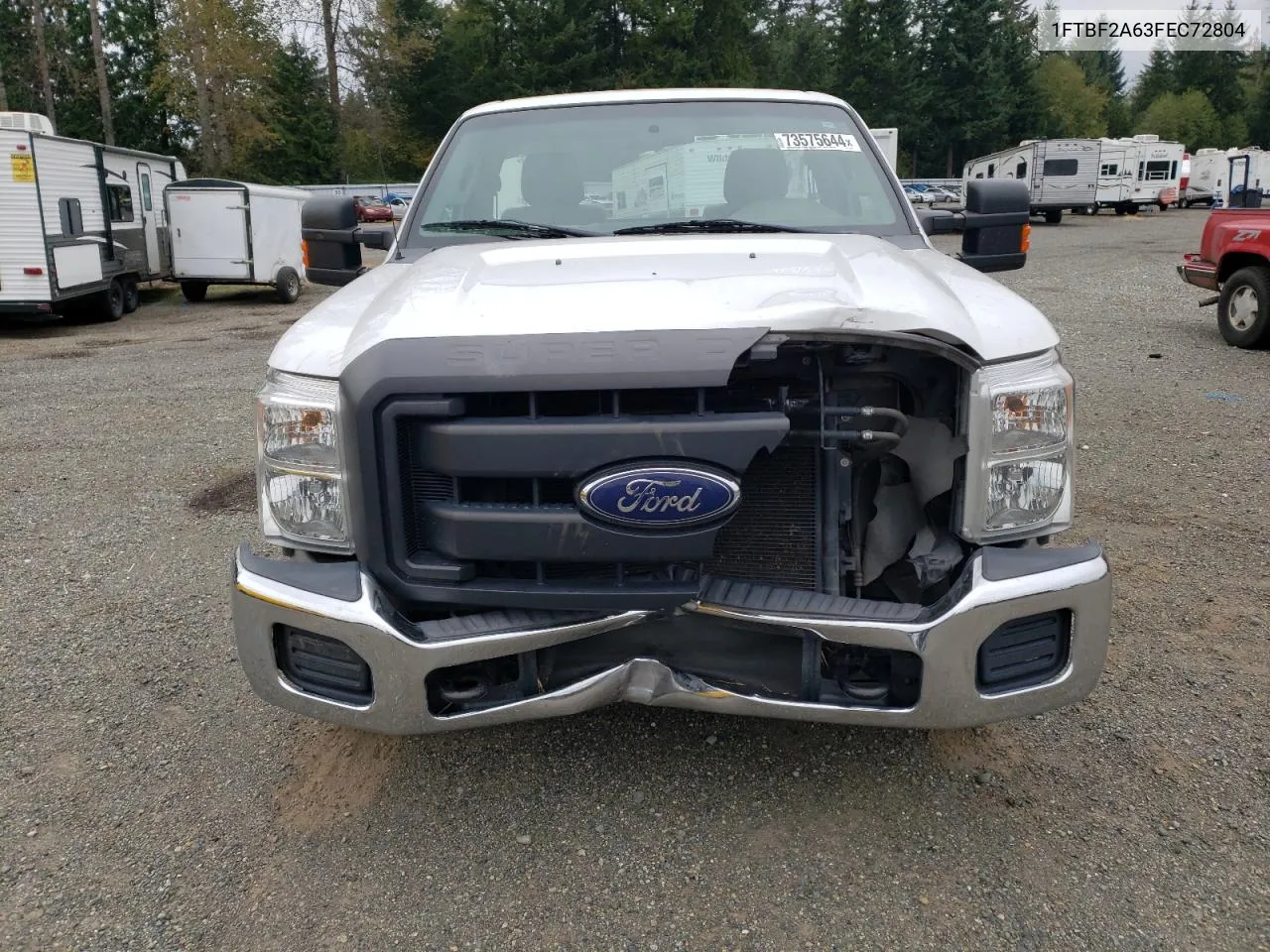 2015 Ford F250 Super Duty VIN: 1FTBF2A63FEC72804 Lot: 73575644