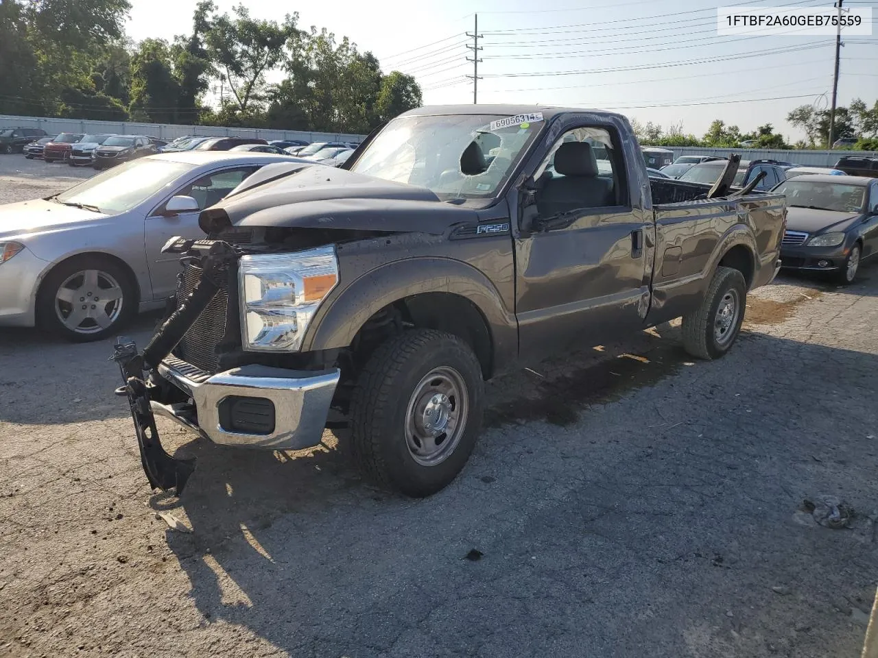 1FTBF2A60GEB75559 2016 Ford F250 Super Duty