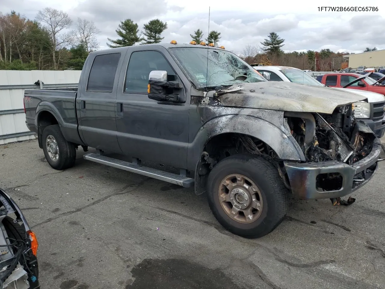 2016 Ford F250 Super Duty VIN: 1FT7W2B66GEC65786 Lot: 79240224