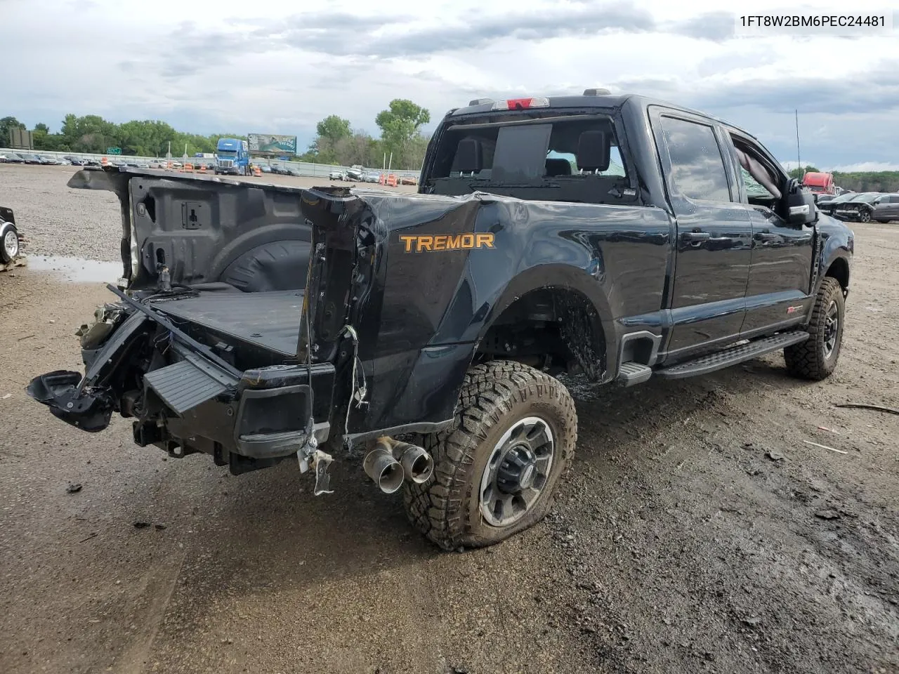 2023 Ford F250 Super Duty VIN: 1FT8W2BM6PEC24481 Lot: 56807824