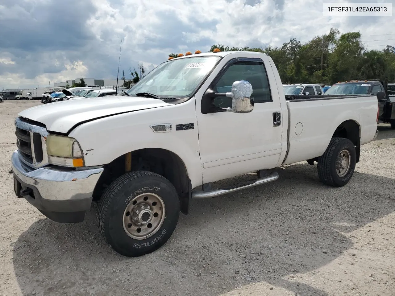 2002 Ford F350 Srw Super Duty VIN: 1FTSF31L42EA65313 Lot: 74520824