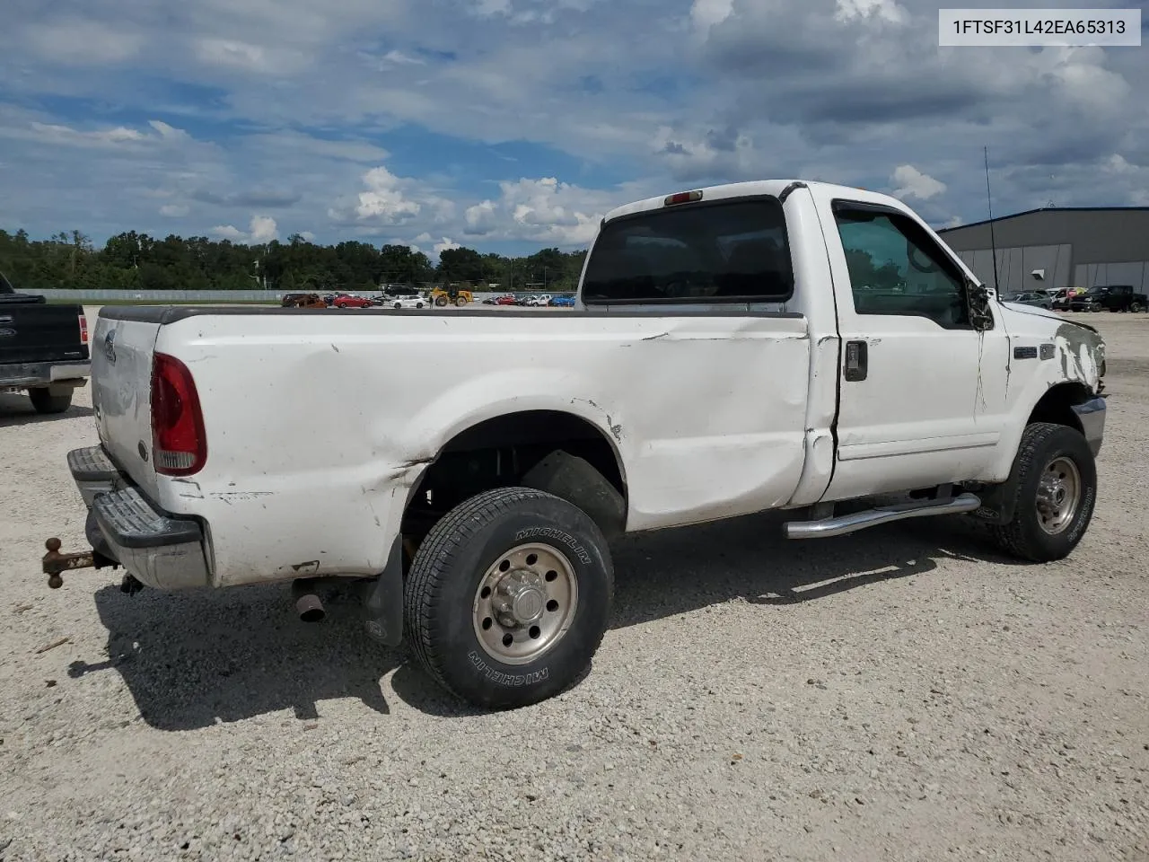 2002 Ford F350 Srw Super Duty VIN: 1FTSF31L42EA65313 Lot: 74520824