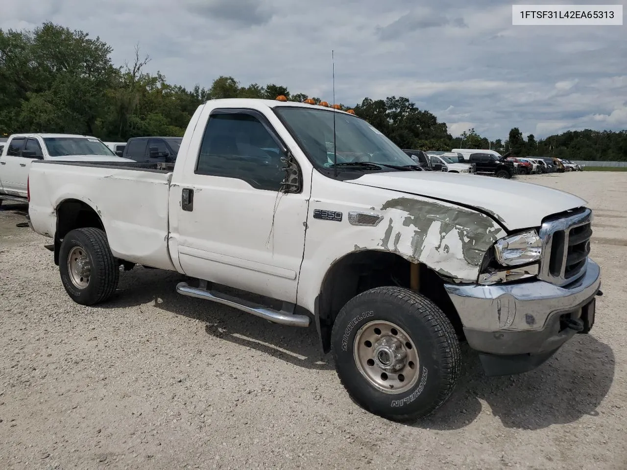 2002 Ford F350 Srw Super Duty VIN: 1FTSF31L42EA65313 Lot: 74520824