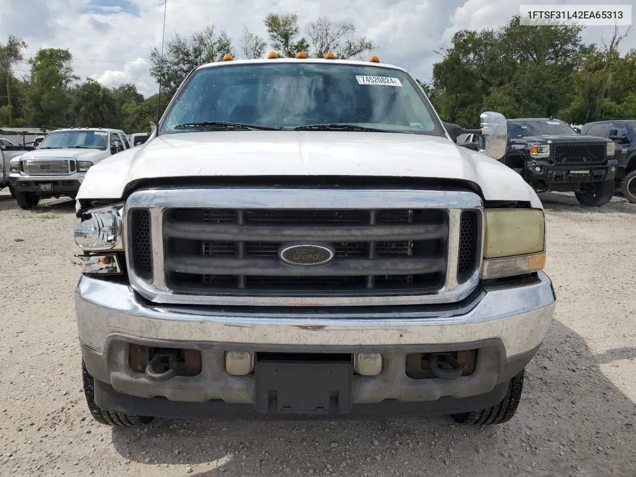 2002 Ford F350 Srw Super Duty VIN: 1FTSF31L42EA65313 Lot: 74520824