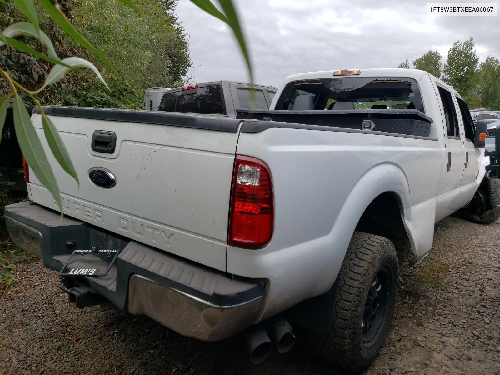 2014 Ford F350 Super Duty VIN: 1FT8W3BTXEEA06067 Lot: 66383554