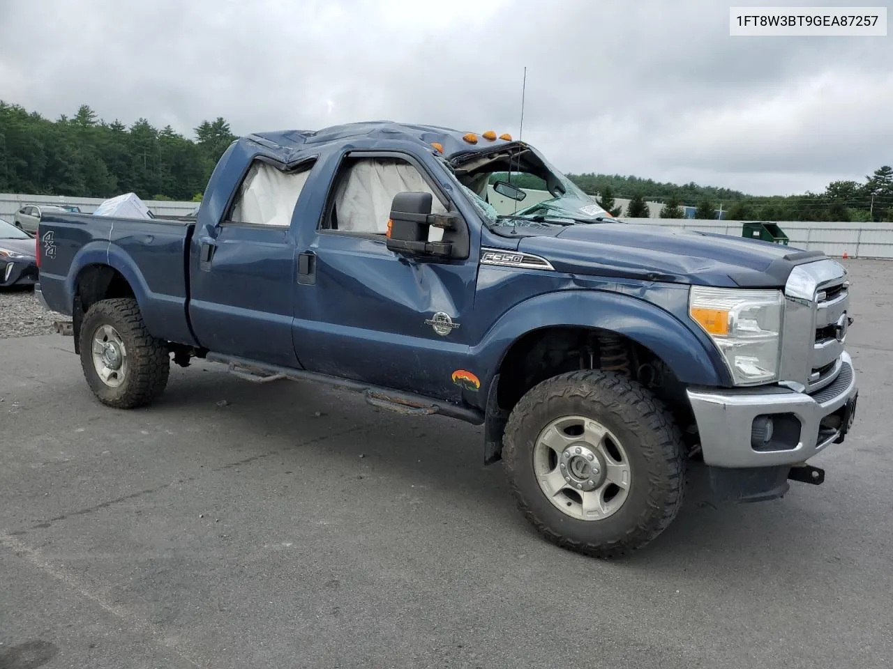 2016 Ford F350 Super Duty VIN: 1FT8W3BT9GEA87257 Lot: 67499394