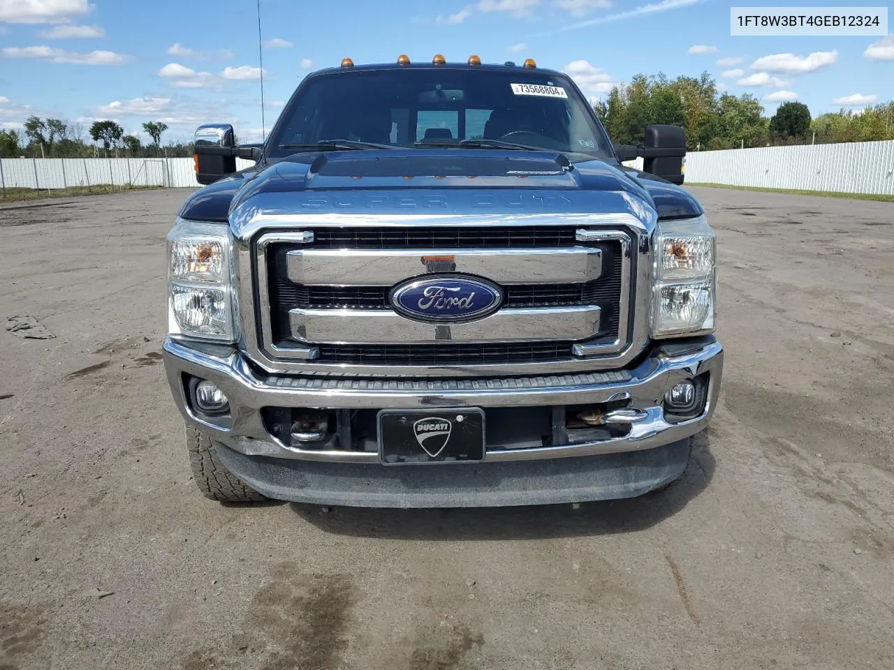 2016 Ford F350 Super Duty VIN: 1FT8W3BT4GEB12324 Lot: 73568804