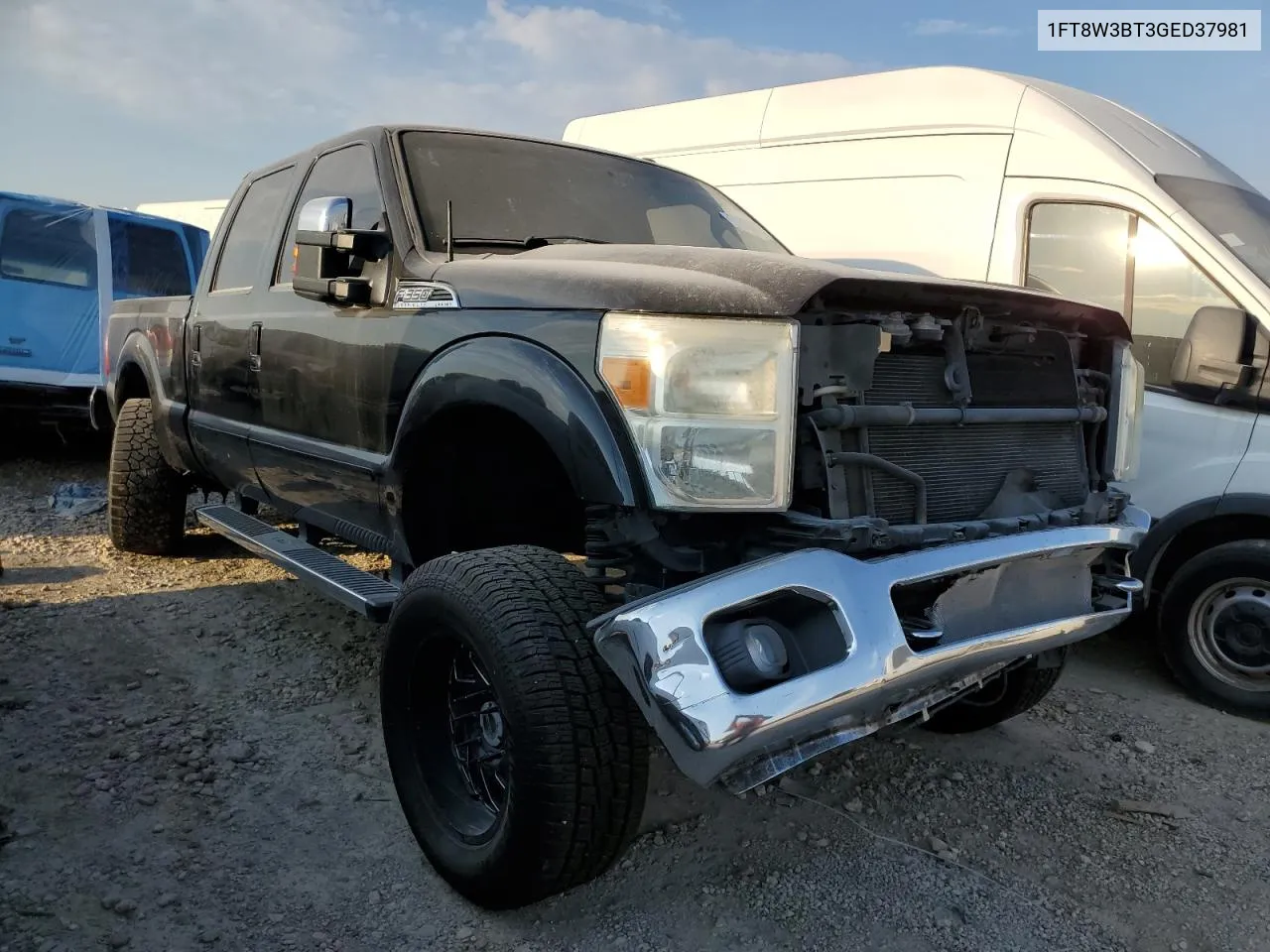 2016 Ford F350 Super Duty VIN: 1FT8W3BT3GED37981 Lot: 73976424