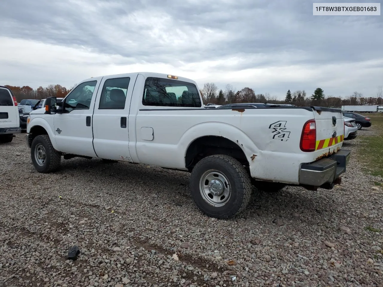 2016 Ford F350 Super Duty VIN: 1FT8W3BTXGEB01683 Lot: 78079054