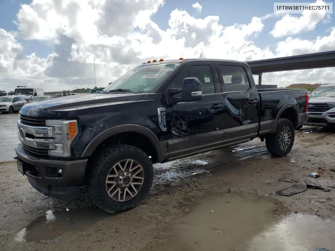 2017 Ford F350 Super Duty VIN: 1FT8W3BT1HEC75711 Lot: 76369894