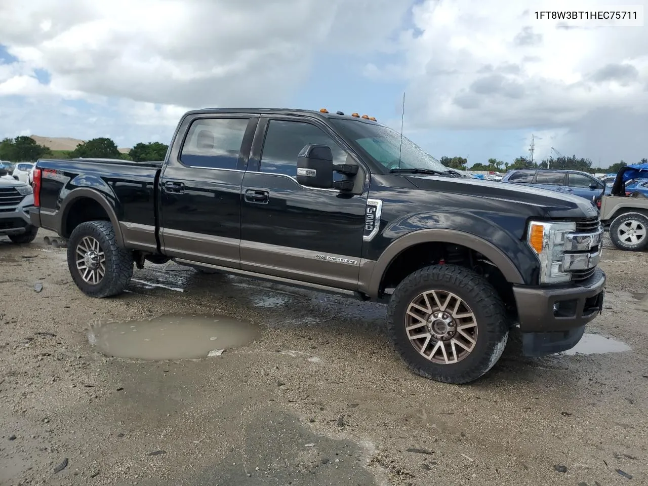 2017 Ford F350 Super Duty VIN: 1FT8W3BT1HEC75711 Lot: 76369894