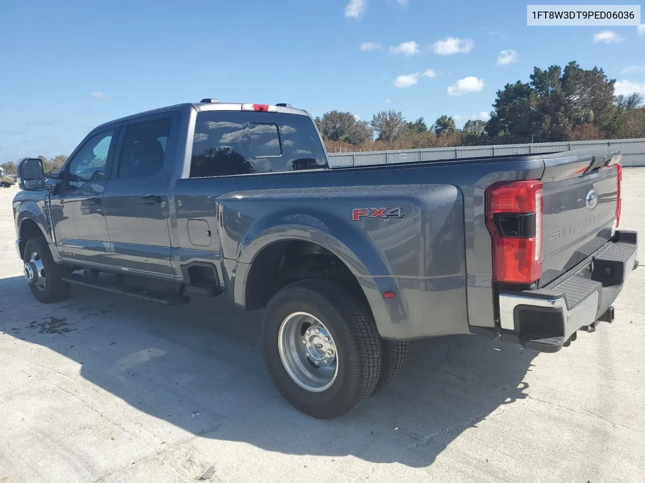 2023 Ford F350 Super Duty VIN: 1FT8W3DT9PED06036 Lot: 73776164