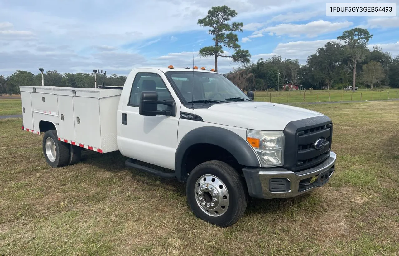 2016 Ford F550 Super Duty VIN: 1FDUF5GY3GEB54493 Lot: 81772304