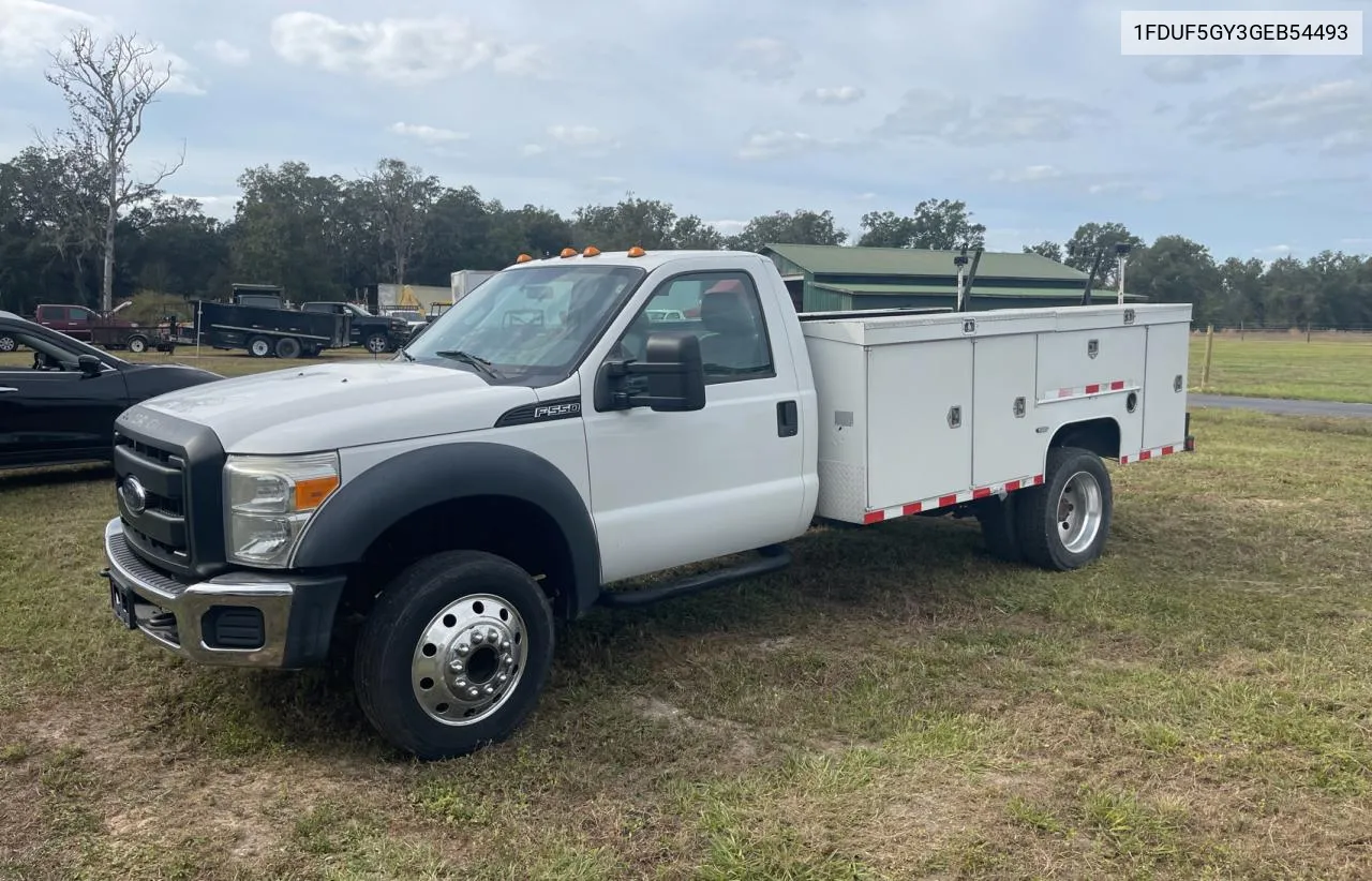 2016 Ford F550 Super Duty VIN: 1FDUF5GY3GEB54493 Lot: 81772304