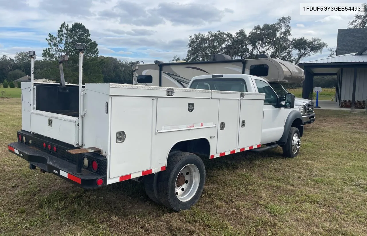 2016 Ford F550 Super Duty VIN: 1FDUF5GY3GEB54493 Lot: 81772304