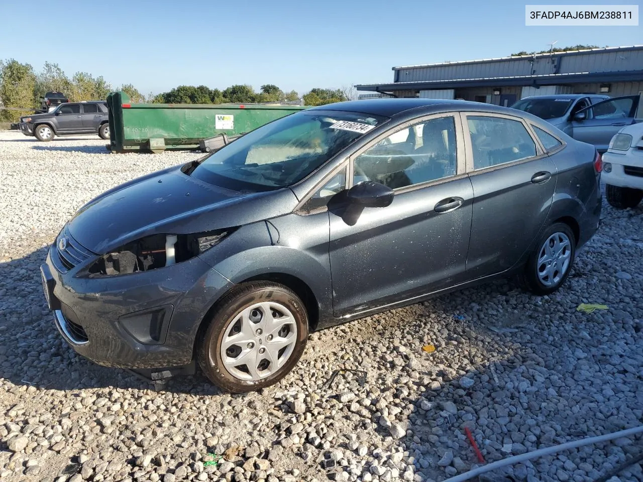 2011 Ford Fiesta S VIN: 3FADP4AJ6BM238811 Lot: 73160734