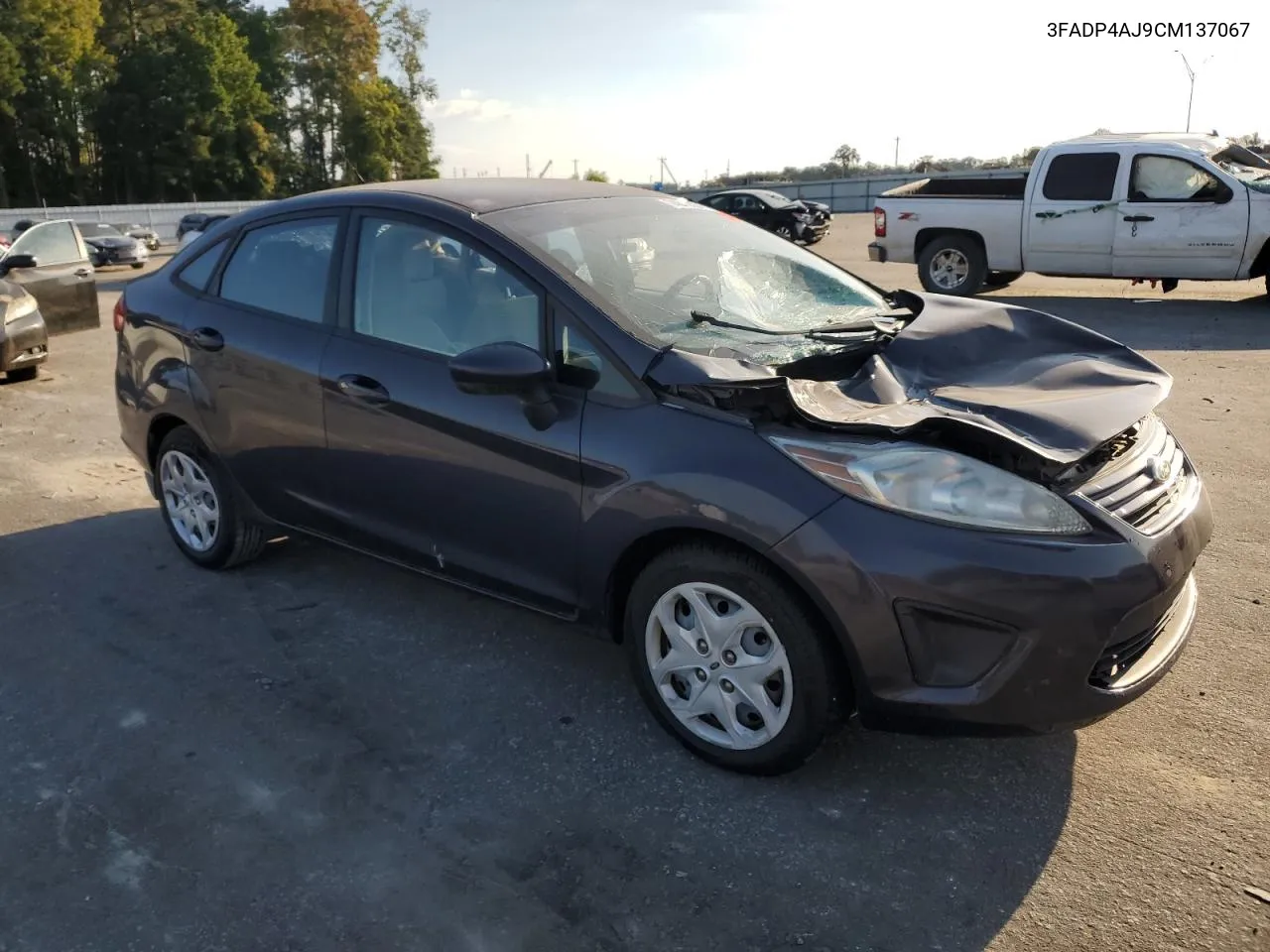 2012 Ford Fiesta S VIN: 3FADP4AJ9CM137067 Lot: 74310094