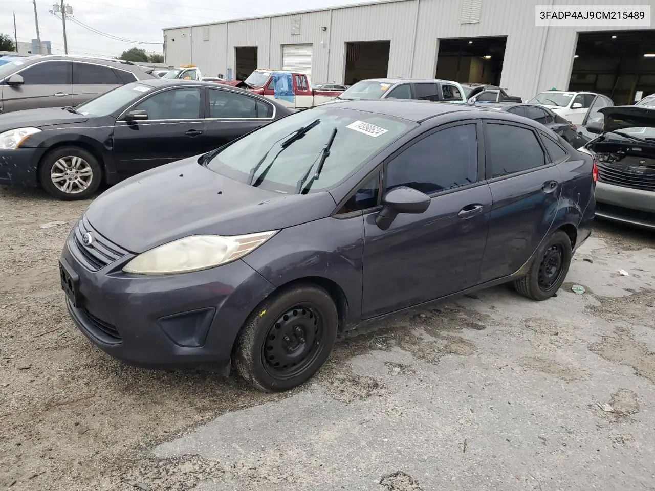 2012 Ford Fiesta S VIN: 3FADP4AJ9CM215489 Lot: 74990624