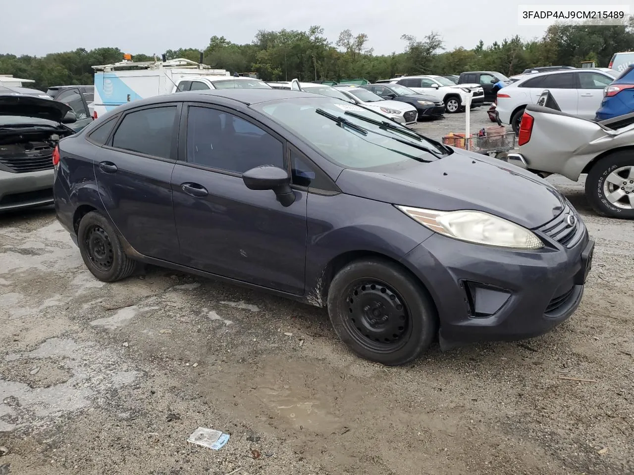 2012 Ford Fiesta S VIN: 3FADP4AJ9CM215489 Lot: 74990624