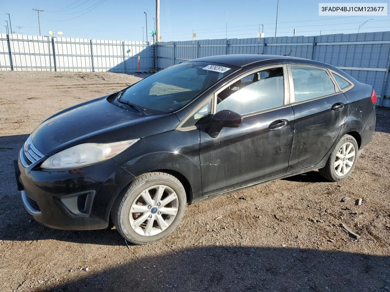 2012 Ford Fiesta Se VIN: 3FADP4BJ1CM123677 Lot: 79292914