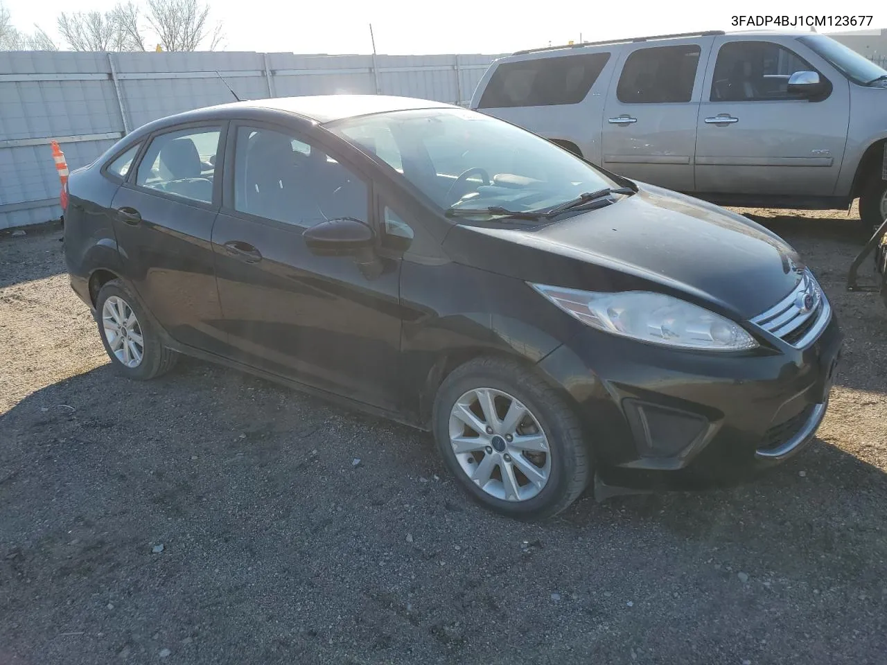 2012 Ford Fiesta Se VIN: 3FADP4BJ1CM123677 Lot: 79292914