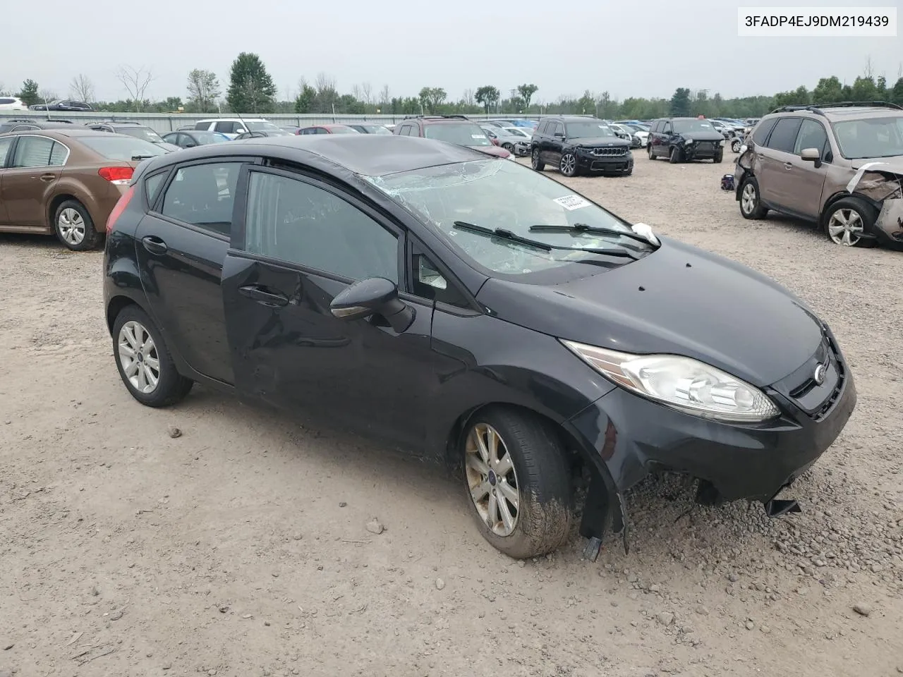 2013 Ford Fiesta Se VIN: 3FADP4EJ9DM219439 Lot: 65320574