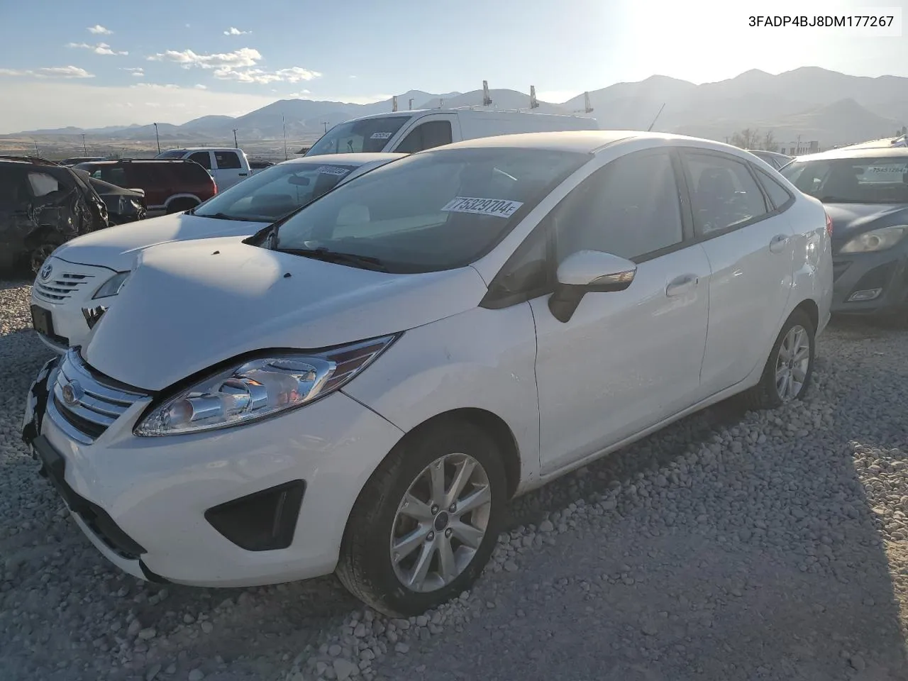 2013 Ford Fiesta Se VIN: 3FADP4BJ8DM177267 Lot: 75329704