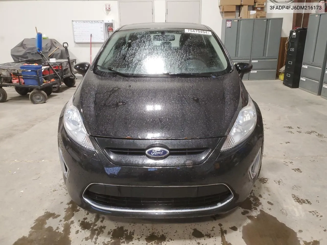 2013 Ford Fiesta Titanium VIN: 3FADP4FJ6DM216173 Lot: 75479494