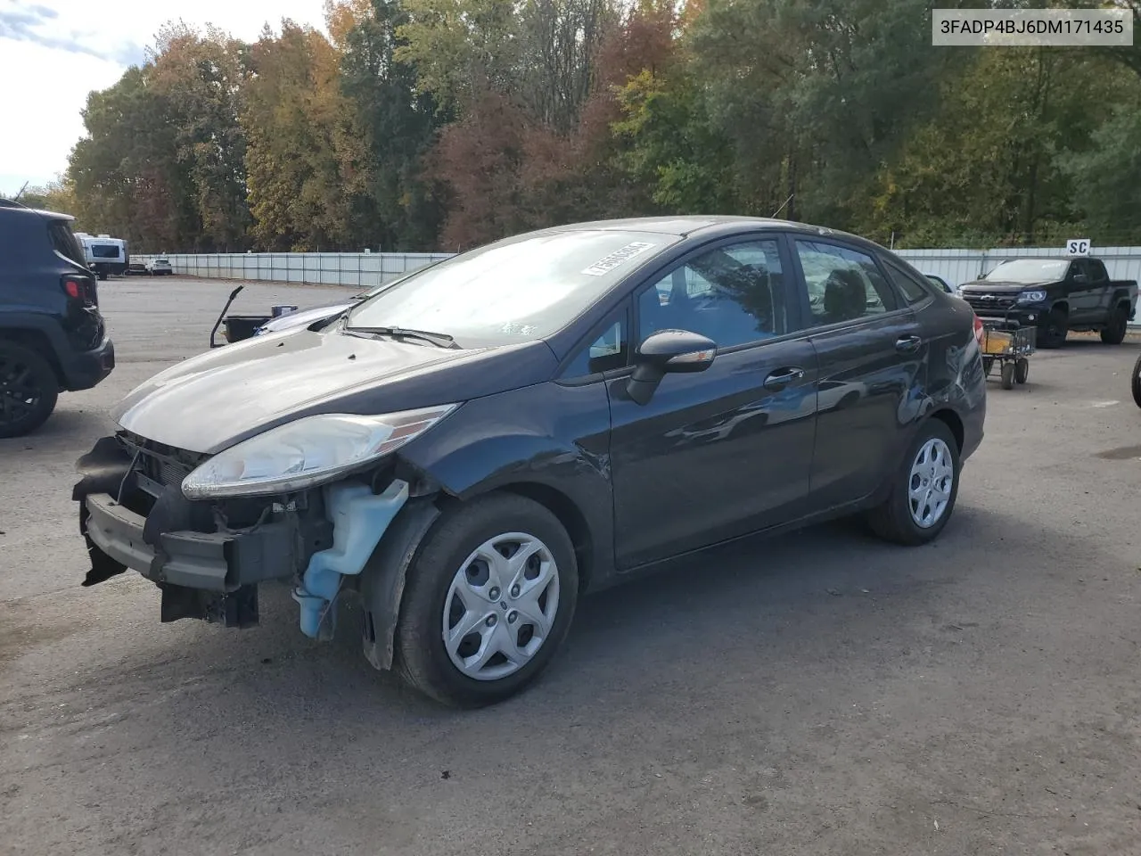 2013 Ford Fiesta Se VIN: 3FADP4BJ6DM171435 Lot: 75666394