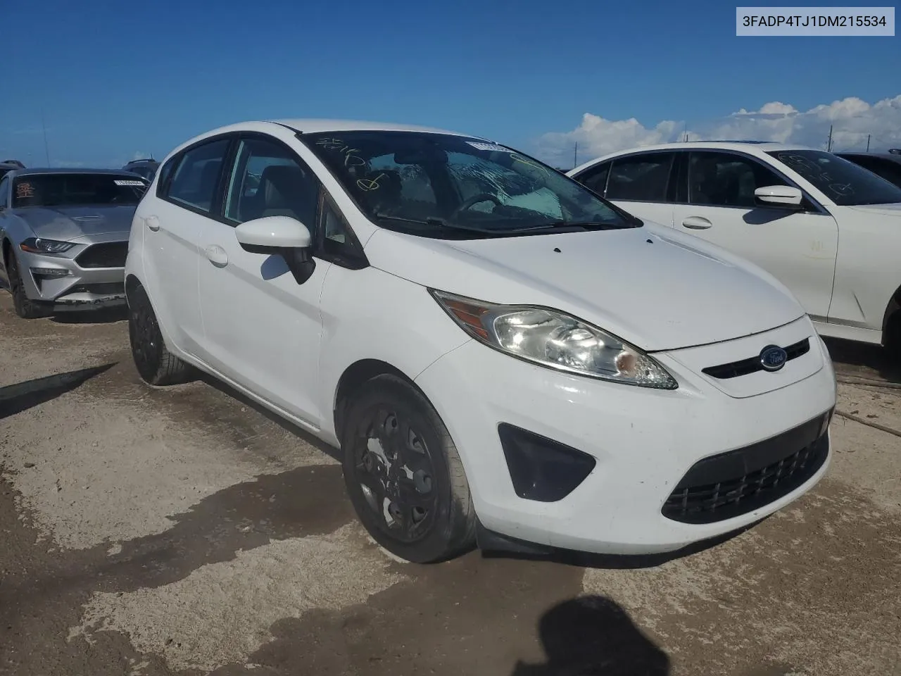 2013 Ford Fiesta S VIN: 3FADP4TJ1DM215534 Lot: 77372934