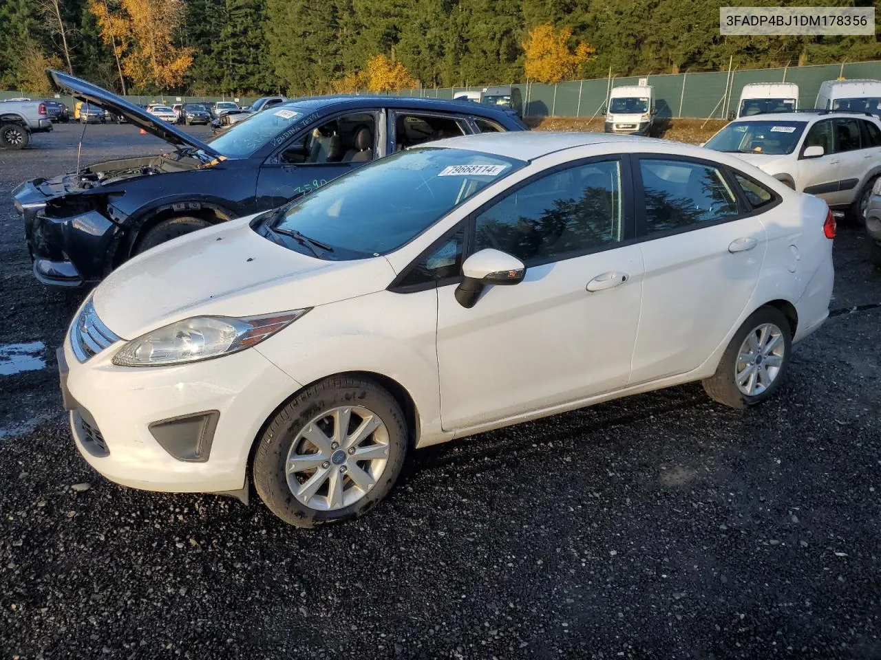 2013 Ford Fiesta Se VIN: 3FADP4BJ1DM178356 Lot: 79668114