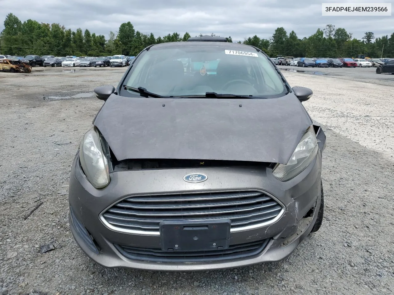 2014 Ford Fiesta Se VIN: 3FADP4EJ4EM239566 Lot: 71706954