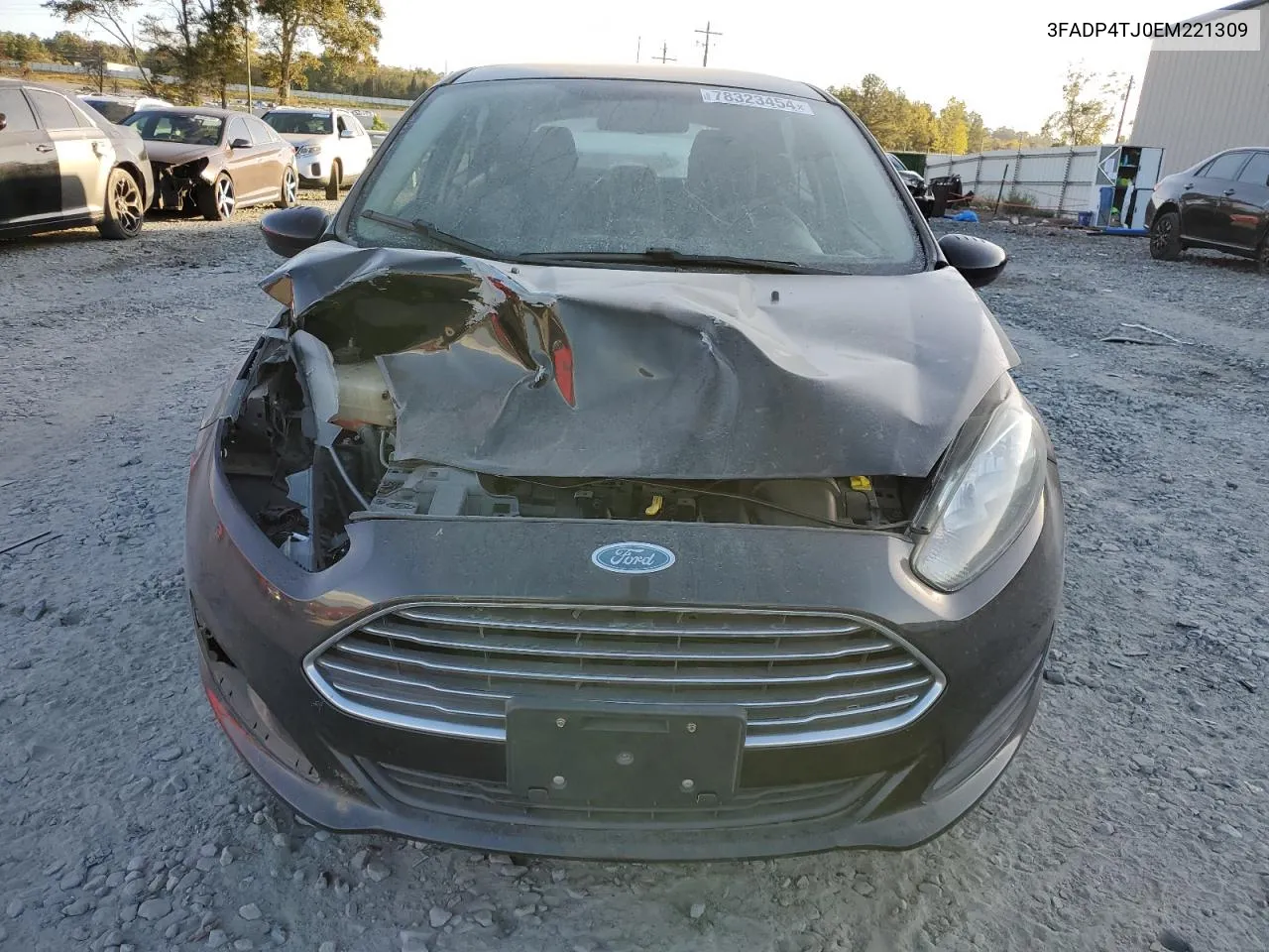 2014 Ford Fiesta S VIN: 3FADP4TJ0EM221309 Lot: 78323454