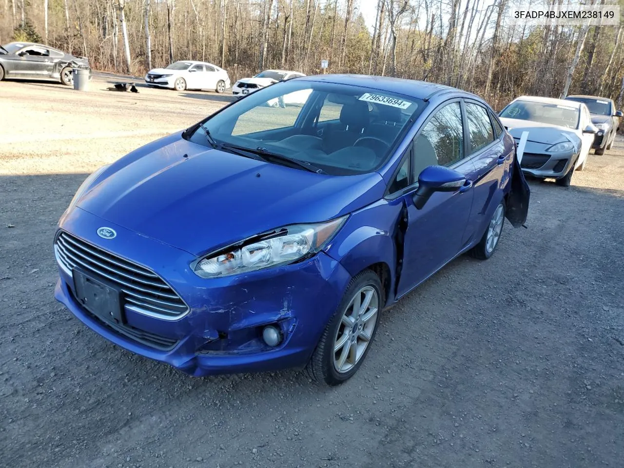 2014 Ford Fiesta Se VIN: 3FADP4BJXEM238149 Lot: 79633694