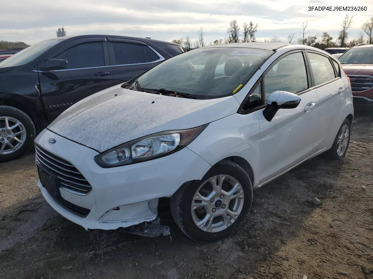 2014 Ford Fiesta Se VIN: 3FADP4EJ9EM236260 Lot: 79867084