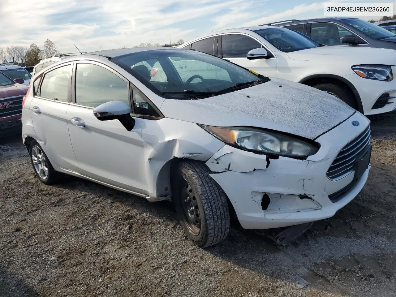 2014 Ford Fiesta Se VIN: 3FADP4EJ9EM236260 Lot: 79867084