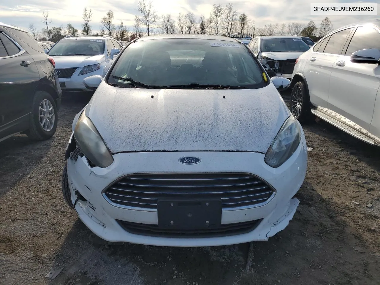 2014 Ford Fiesta Se VIN: 3FADP4EJ9EM236260 Lot: 79867084