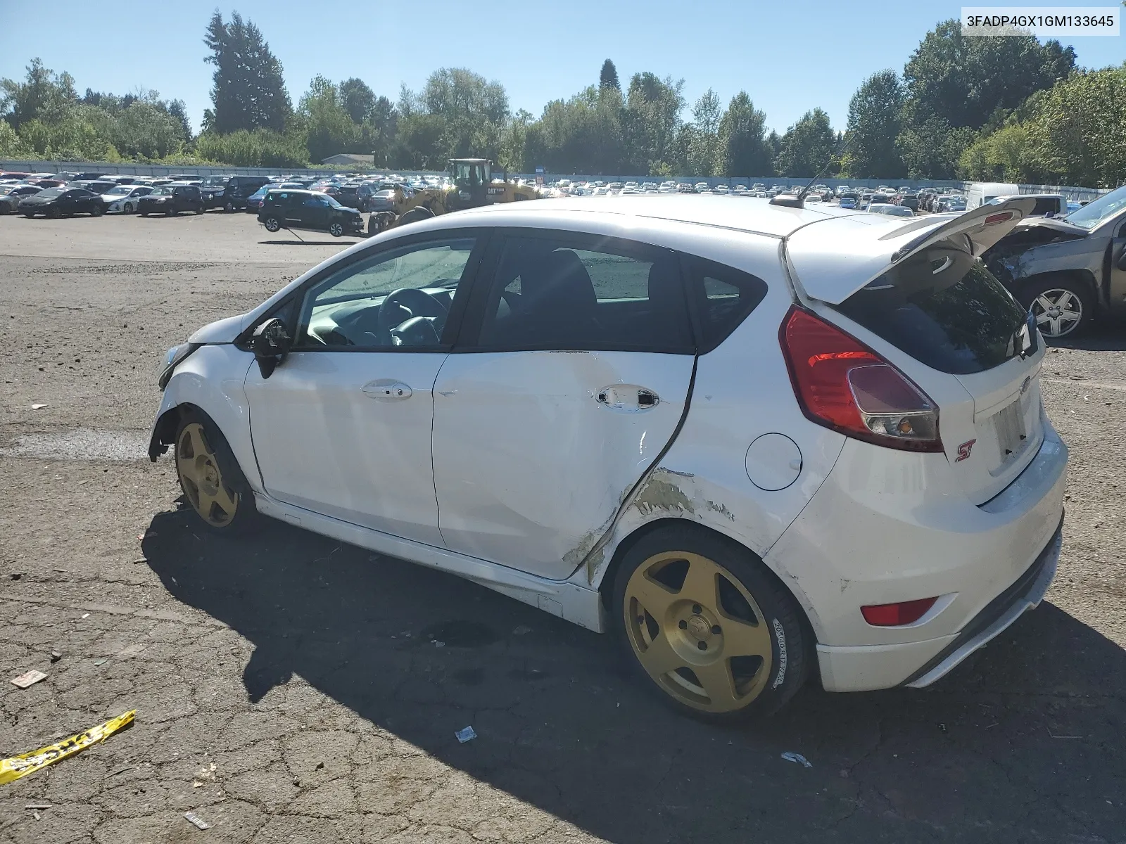 2016 Ford Fiesta St VIN: 3FADP4GX1GM133645 Lot: 65395444