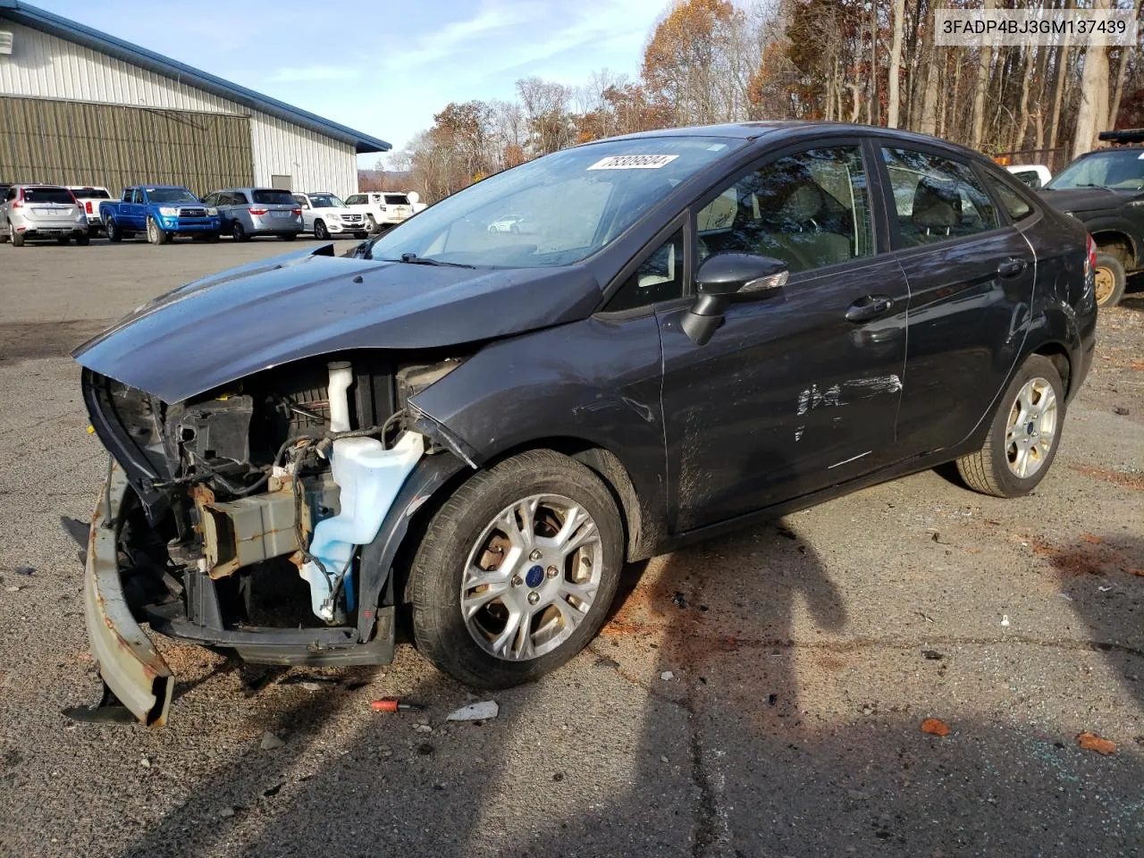 2016 Ford Fiesta Se VIN: 3FADP4BJ3GM137439 Lot: 78309604