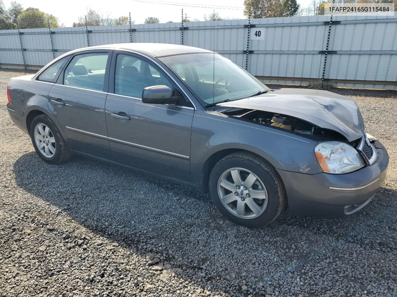 2005 Ford Five Hundred Sel VIN: 1FAFP24165G115484 Lot: 80060284