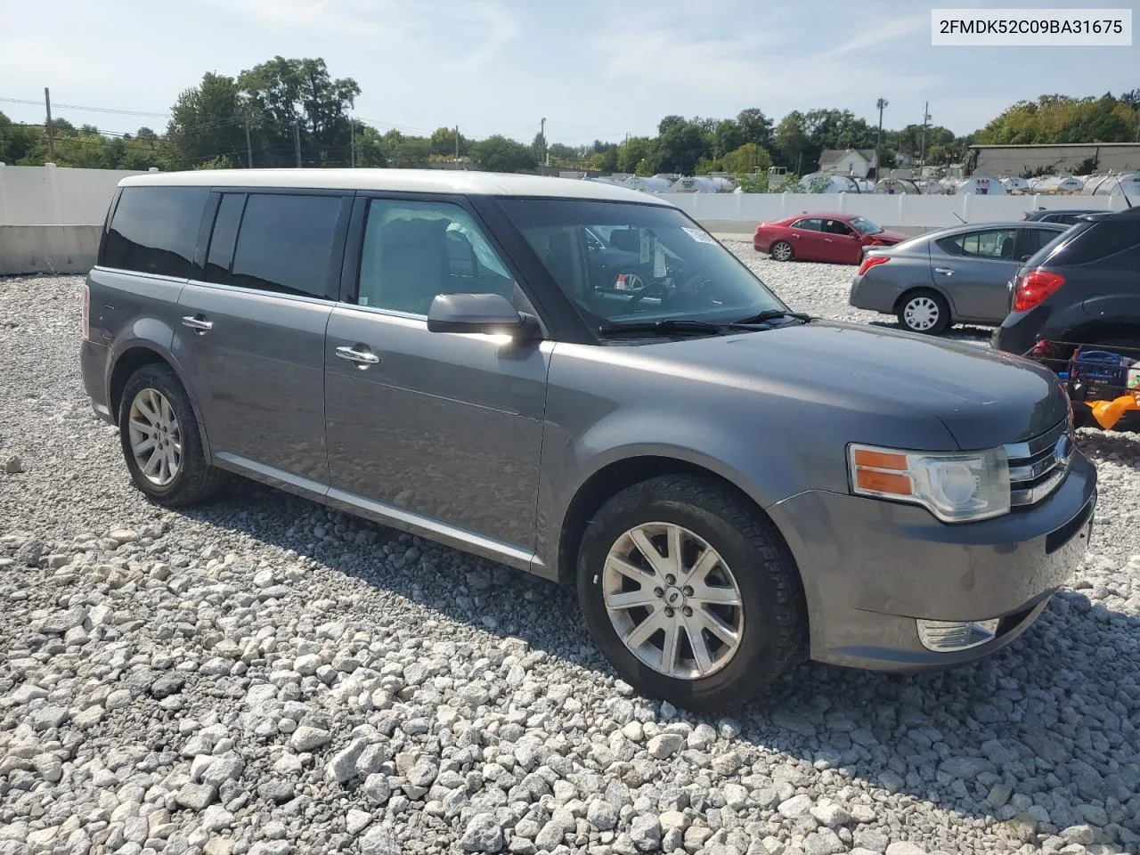 2009 Ford Flex Sel VIN: 2FMDK52C09BA31675 Lot: 71396894