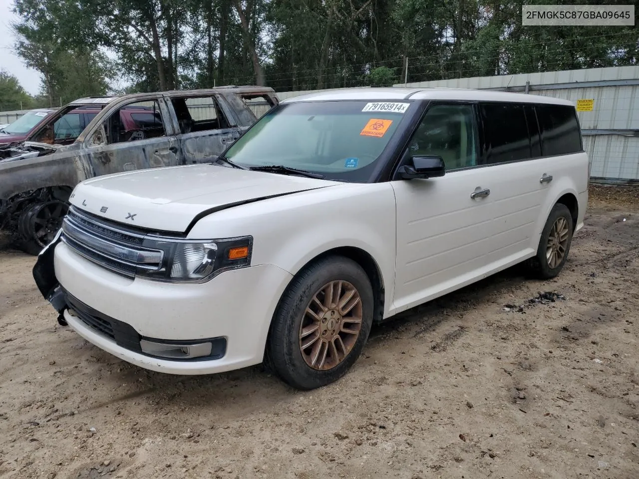 2016 Ford Flex Sel VIN: 2FMGK5C87GBA09645 Lot: 79165914